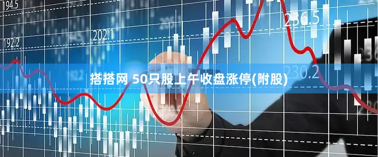 搭搭网 50只股上午收盘涨停(附股)