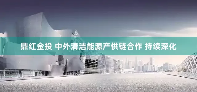 鼎红金投 中外清洁能源产供链合作 持续深化
