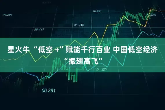 星火牛 “低空 +”赋能千行百业 中国低空经济“振翅高飞”